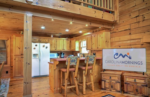 Arden Cabina | Pisgah Pines | Cozy Log Cabin w/ Hot Tub & Fire Pit Near Asheville Airport