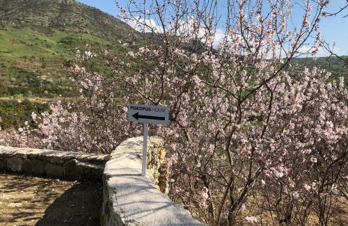 Episkopi Casa | Piskopos Country House