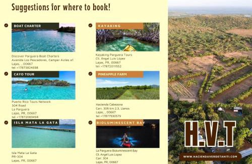 Llanos Costa Casa | Pitahaya Retreat - Cozy Glamping Escape