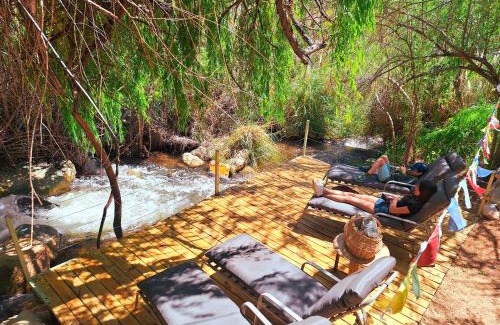 Paiguano Cabina | Piuquenes Lodge - Cabañas, Viñedos y estrellas en Horcón, Valle de Elqui
