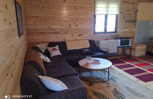 Kremna Casa | Planinska etno kuca Tara