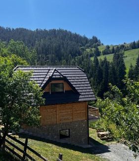 Bajina Basta Casa | Planinska koliba Dada
