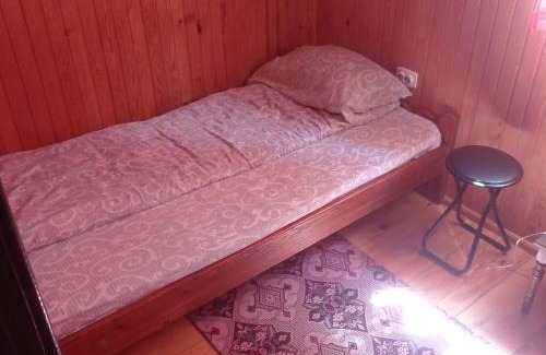 Tara National Park Casa | Planinska kuca Beli bor