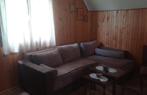 Tara National Park Casa | Planinska kuca Beli bor