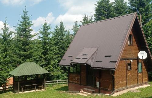 Tara National Park Casa | Planinska kuca Beli bor