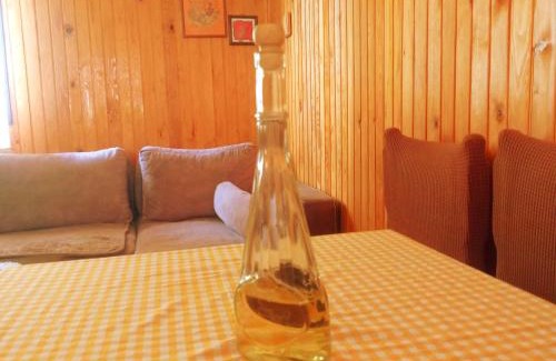 Tara National Park Casa | Planinska kuca Beli bor