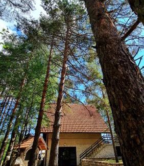 Divcibare Casa | PLANINSKA VILA SMIGIC