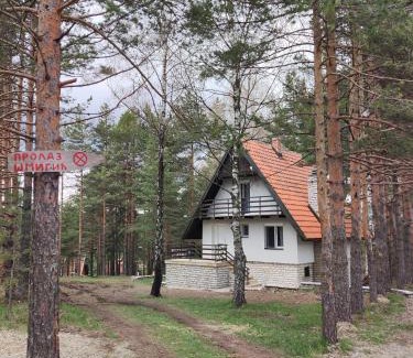 Divcibare Casa | PLANINSKA VILA SMIGIC