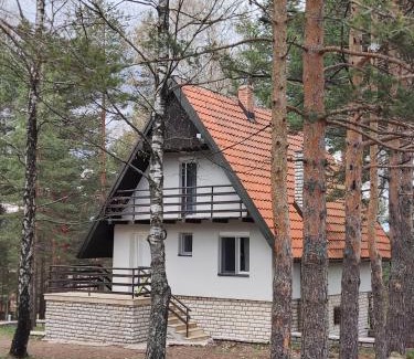 Divcibare Casa | PLANINSKA VILA SMIGIC