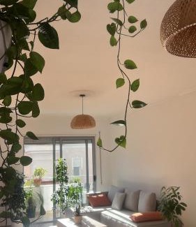 Tirana Apartamento | Plant house