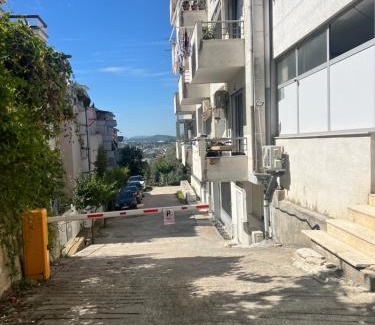 Tirana Apartamento | Plant house