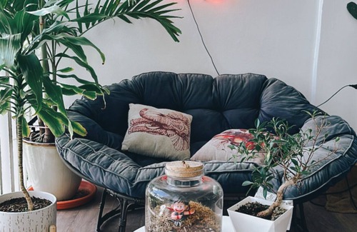 Hillcrest Condominio | Plant Lover’s Bachelor Pad