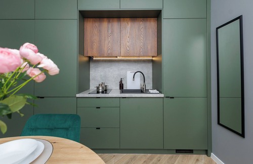 Katowice Apartamento | Plant&Pillow Apartments Świętego Stanisława Katowice