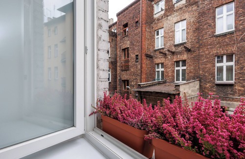 Katowice Apartamento | Plant&Pillow Apartments Świętego Stanisława Katowice