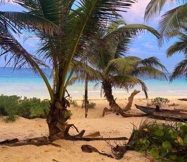 Zona Hotelera Otro | Playa Lakin-ha beachfront cabins