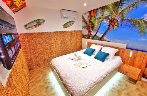 Muntzenheim Apartamento | PLAYA SPA-4 Pers-Jacuzzi-Parking-Jardin-Clim-Colmar
