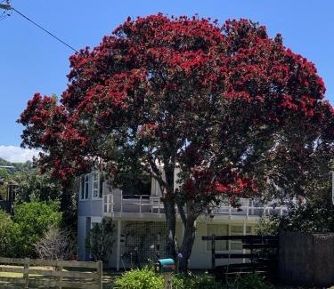 Matapouri Casa | Playtime Plus - Matapouri Holiday Home