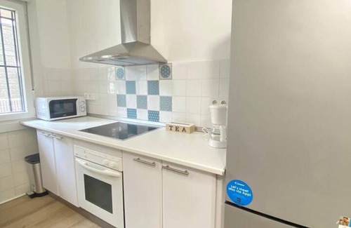 Deusto Apartamento | Plaza Placido Careaga 8