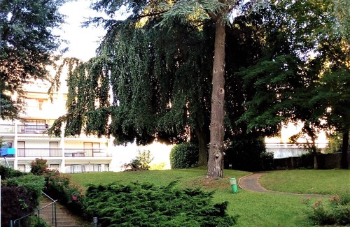 Touques Apartamento | Pleasant 2-room apartment in residence with swimming pool