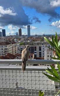 6th Arrondissement Apartamento | PLEIN SUD Terrasse Garage Netflix Climatisation