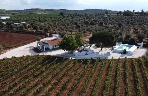Borba Cabaña | Pleno Alentejo Rodeado de Vinhas e Junto as Cidades de Borba, Vila Viçosa e Estr
