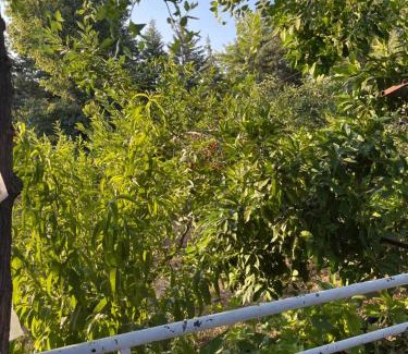 Merkezefendi Apartamento | plenty of amenities, affordable price