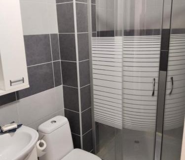 Vrsac Apartamento | Pod kestenom