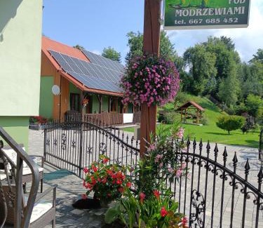 Milowka Casa | Pod Modrzewiami