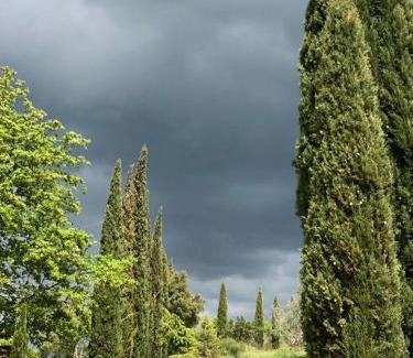Castelnuovo Berardenga Casa | Podere Campovecchio