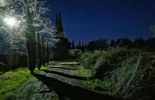 Castelnuovo Berardenga Casa | Podere Campovecchio