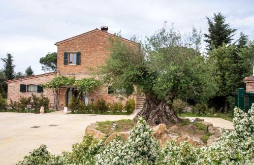Montepulciano Apartamento | Podere Casanova & Wine Experience - Montepulciano