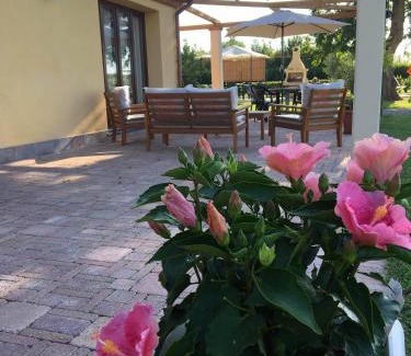 San Giuliano Terme Apartamento | Podere Gabry