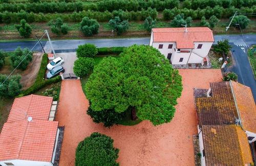 Castagneto Carducci Casa | Podere 'I Daini' - App. C