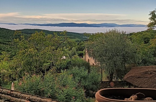 Castellina in Chianti Villa | Podere Palazzolo, ancient farmhouse nestled in the hills of Chianti Classico.