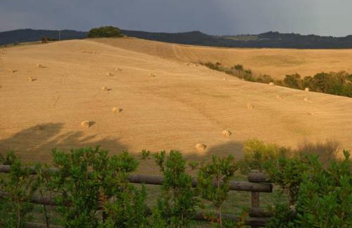 Volterra Casa | Podere San Luigi - Pet Friendly