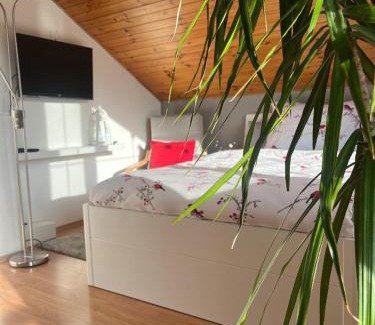 Ostrava Casa | Podkrovní apartmán s balkónem