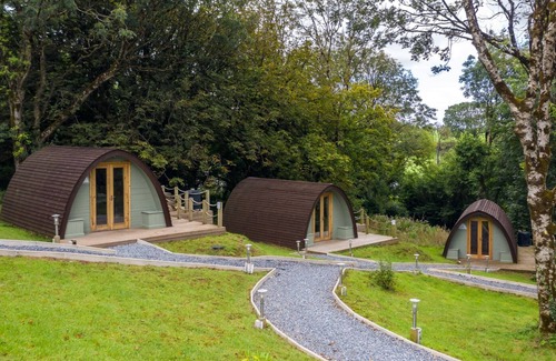 Laugharne Cabina | Cabaña-Estándar-Baño con ducha-with Hot tub