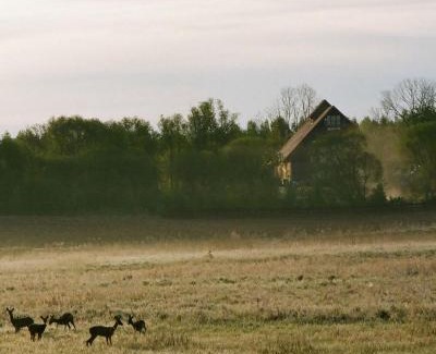 Gizycko Casa | Poganty - Stodoła