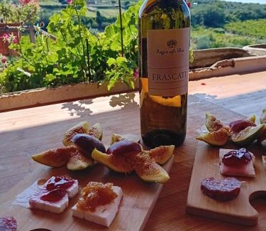 Frascati Casa | Poggio agli Ulivi