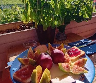 Frascati Casa | Poggio agli Ulivi