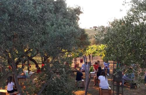 Frascati Casa | Poggio agli Ulivi