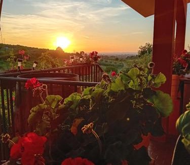 Frascati Casa | Poggio agli Ulivi