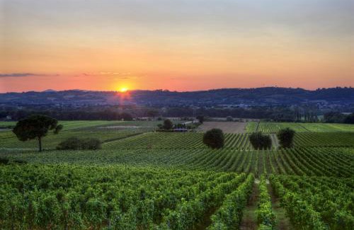 Torgiano Casa | Poggio alle Vigne