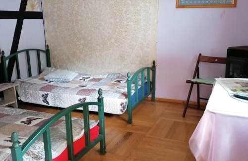 Leoncin Casa | Pokój Paw-puszcza kampinowska