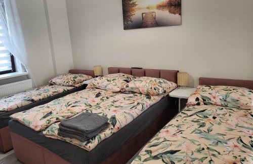Zyrardow Apartamento | Pokój z własną kuchnią i łazienką Żyrardów SUNTAGO
