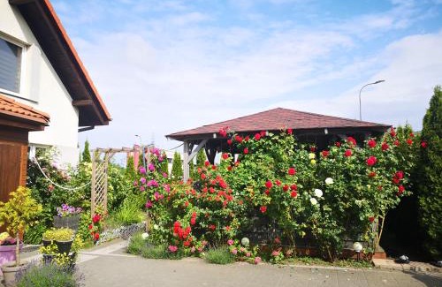 Pogorze Apartamento | Pokoje Gościnne u Joli