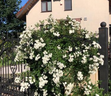Lidzbark Welski Casa | Pokoje goscinne na Wodnej