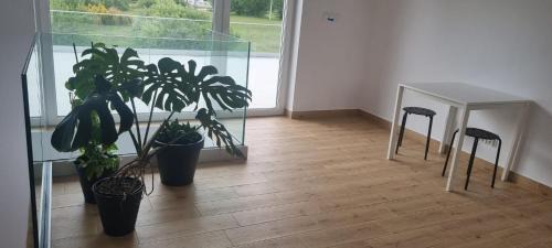 Niepolomice Casa | Pokoje na Woli