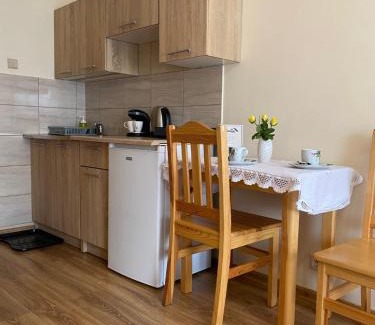 Ustron Casa | Pokoje Sylwia z aneksami kuchennymi w każdym pokoju