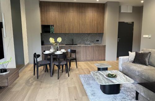Polanica-Zdroj Apartamento | Polanica Park Apartament 309